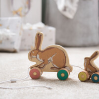 Creative photography Guess how much I love you rabbit wooden toy
